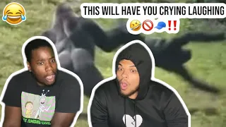 Memes so funny made the Quiet kid drop his AK 47  REACTION