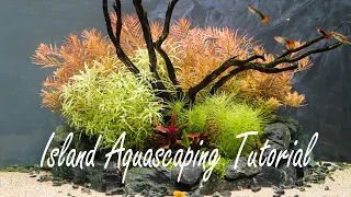 Step by Step Island Aquascape Setup - Planted Guppy Fish Aquarium