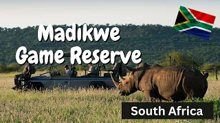 Madikwe Game Reserve: Thrilling Safari Adventure in South Africa!