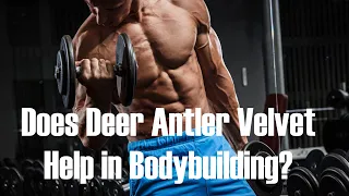 Does Deer Antler Velvet Help in Bodybuilding? (HGH and IGF-1)