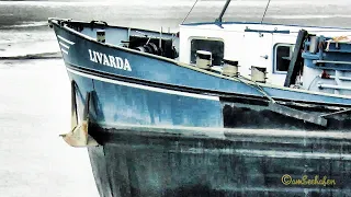 Binnenschiff GMS LIVARDA PH6141 MMSI 244710266 Emden inland cargo ship 02311956 1965