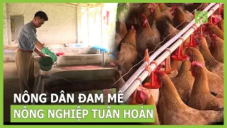 Bí quyết làm nông nghiệp tuần hoàn | VTC16