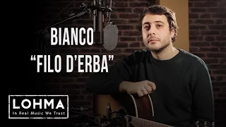 Bianco - Filo D'Erba (Acoustic) - LOHMA