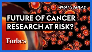 How The FTC Could Hurt The Future Of Cancer Research  - Steve Forbes | What's Ahead | Forbes