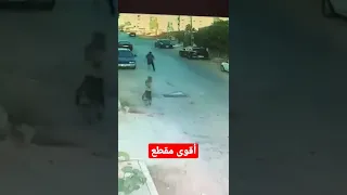 أقوى مقطع.. كلاب ضالة تهاجم شابا في الشارع العام بمدينة اربد