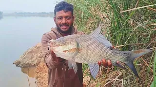 Big Katla Fish Catching | Singh Ka Shikar | Fishing | Catla best Fishing Bait