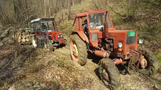 Belarus 820 i zetor 5245 u sumi