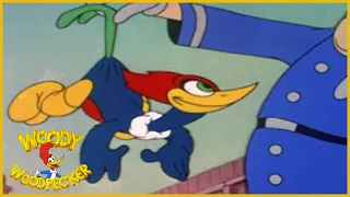 Woody Woodpecker | The Screwball | Old Cartoons | Woody Woodpecker Full Episodes | Videos for Kids