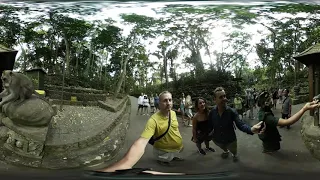 Bali Monkey Forest Ubud 360VR