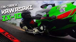 2023 Kawasaki ZX-10R Track Test | Yes I Crashed! 🤦‍♂️