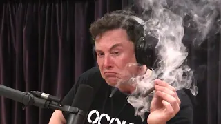 Elon Musk - In The End