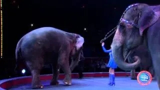 Ringling Bros. Presents Super Circus Heroes - Elephants