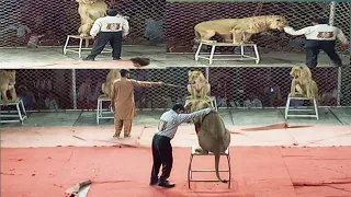Mela Dori Lal Ki Rani Circus 🎪🎪