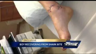 Boy says he'll surf again after shark bite wound heals