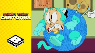 Porky Becomes at Cat  | Looney Tunes | Boomerang UK