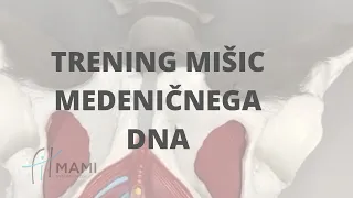 TRENIRANJE MIŠIC MEDENIČNEGA DNA