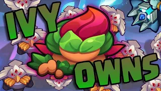Rush Royale - Ivy and Hex are The BEST COMBO!
