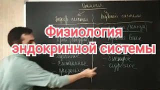 Физиология эндокринной системы. Общая характеристика.. Классификация гормонов.