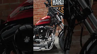 2019 Harley-Davidson Forty-Eight Special!