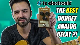 TC Electronic Echobrain Analog Delay Pedal Demo