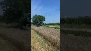 Combina john deere 330 1967 la recoltat grâu de primăvară în comuna Lucieni județul Dâmbovița 2019.