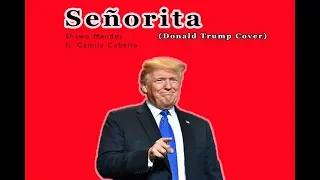 Shawn Mendes ft. Camila Cabello - Señorita (Donald Trump Cover)