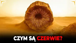 Czym są CZERWIE? Wielkie Robaki z Arrakis | DIUNA