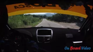 Cameracar 15° Rally del Moscato 2016 Vola-Montaldo Peugeot 207 S2000