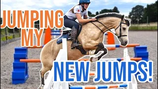 I HAVE NEW SHOWJUMPS!! ~ Unpacking my Polyjumps and jumping Bear over them for the first time