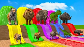 Fountain Crossing Game With Cow Lion Elephant Gorilla Tiger Dinosaur Wild Animal Escape Cage Game
