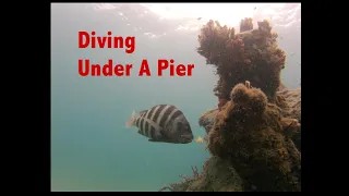 Pier Dive