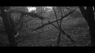 The Blair Witch Legacy: A feature length fan film for the fans