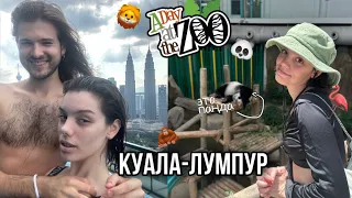 Главный Зоопарк в Малайзии / целый ДОМ ПАНД 🐼