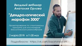 Вводный вебинар  "Марафон 3000"