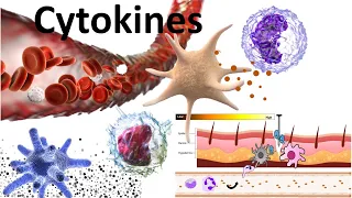 Cytokines : Structure ,sub families ,signaling mechanism and biomedical use