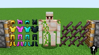 iron Golem and x100 armors and netherite swords combined