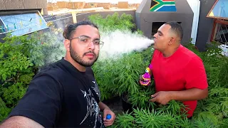 Inside South Africa’s Underground Weed Trade