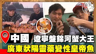 【世界大尋奇】遼寧盤錦河蟹大王 水蓮池變性皇帝怪魚 廣東滋陰補陽第一聖品｜《世界第一等》濃縮精華版