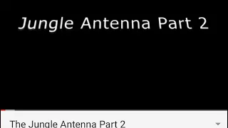 The Jungle Antenna Part 2