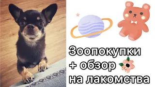 Наши Зоопокупки + обзор на лакомства HorDog