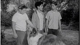 Lassie Episode #102 - "The Harvesters" - Season 3, Ep. 37 - 5/19/1957