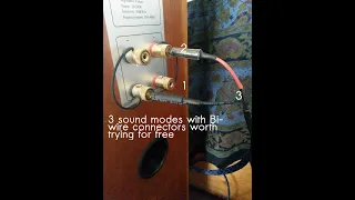 3 different sound modes with Bi-wire speakers