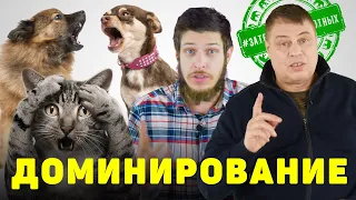 Доминирование и иерархия. У животных. Кто в доме хозяин?