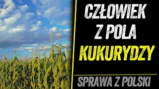 ZAGINĄŁ W POLU KUKURYDZY