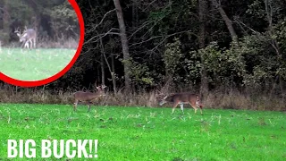 THE RUT IS ON!! *Ground Hunting BIG Whitetail Buck*