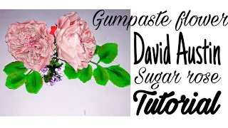 gumpaste flower David Austin/Gumpaste rose /easy gumpaste roses /diy Gum paste rose/ gumpaste  roses
