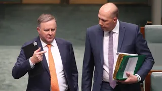 Albanese lashes Dutton’s media releases