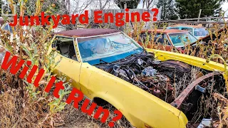 Junkyard Fun - 1972 Ford Ranchero On 4 Wheels - Junkin For Engines -  Huevo Ranchero, Days 3 & 4