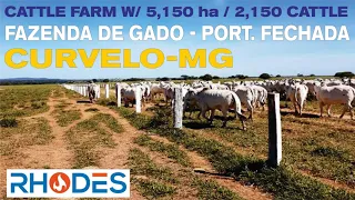 FAZENDA DE GADO - PORTEIRA FECHADA - CURVELO - MG / CATTLE FARM SOLD W/ HERD IN BRAZIL