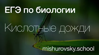 Кислотные дожди | Биология ЕГЭ